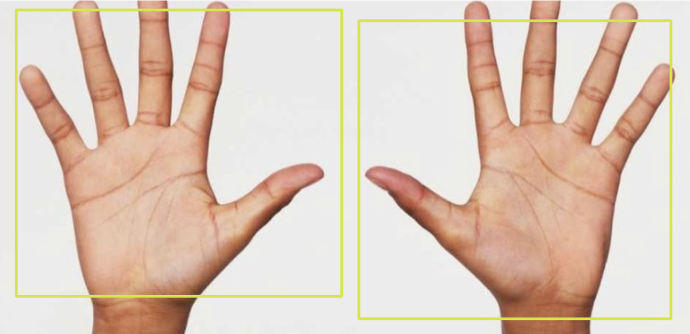 Hand Detection
